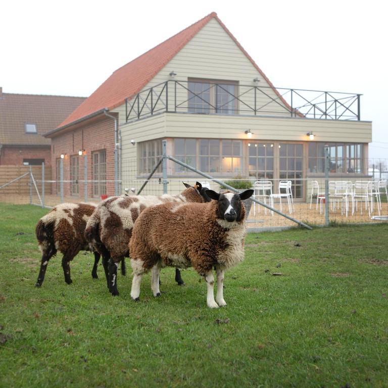 B&B Back2Front Boezinge Exteriér fotografie